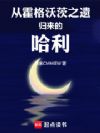 从霍格沃茨之遗归来的哈利